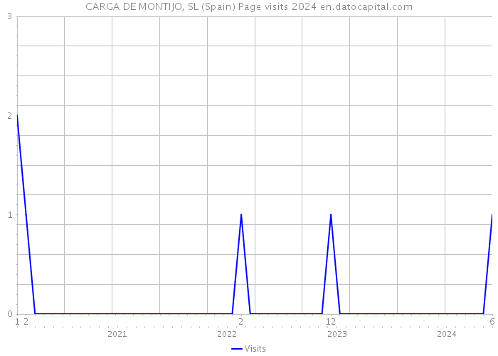 CARGA DE MONTIJO, SL (Spain) Page visits 2024 