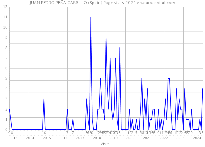 JUAN PEDRO PEÑA CARRILLO (Spain) Page visits 2024 