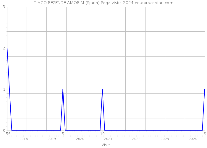 TIAGO REZENDE AMORIM (Spain) Page visits 2024 