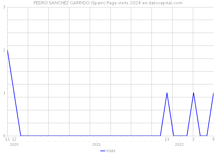 PEDRO SANCHEZ GARRIDO (Spain) Page visits 2024 