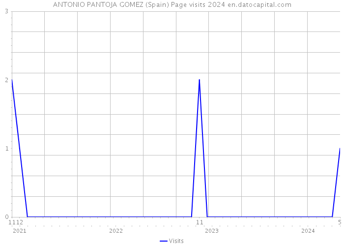 ANTONIO PANTOJA GOMEZ (Spain) Page visits 2024 