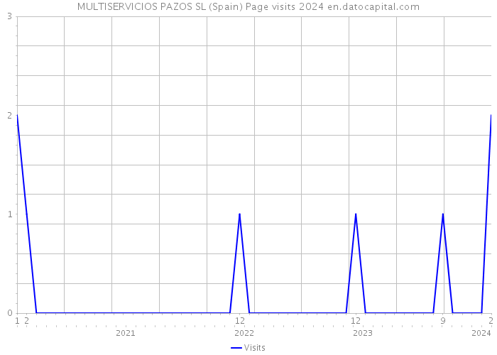 MULTISERVICIOS PAZOS SL (Spain) Page visits 2024 