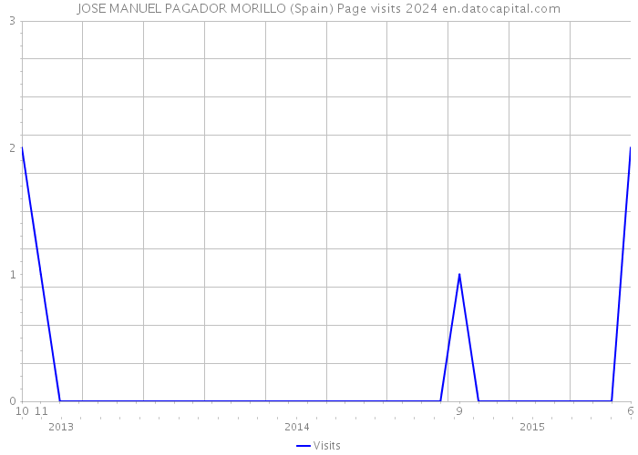 JOSE MANUEL PAGADOR MORILLO (Spain) Page visits 2024 