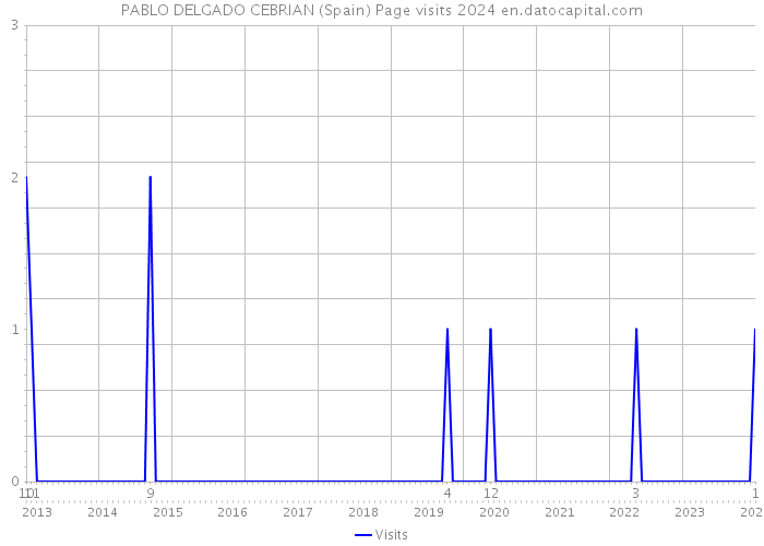 PABLO DELGADO CEBRIAN (Spain) Page visits 2024 