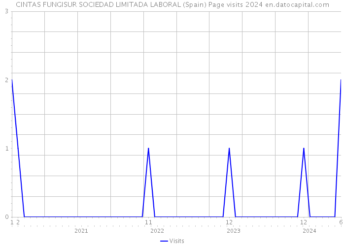 CINTAS FUNGISUR SOCIEDAD LIMITADA LABORAL (Spain) Page visits 2024 