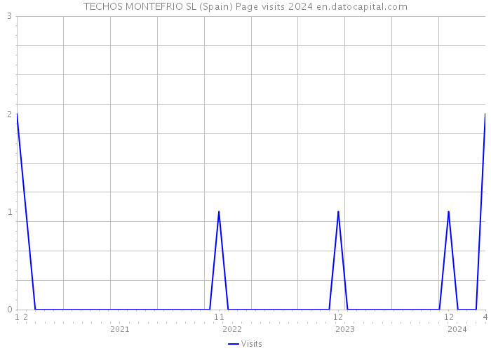 TECHOS MONTEFRIO SL (Spain) Page visits 2024 