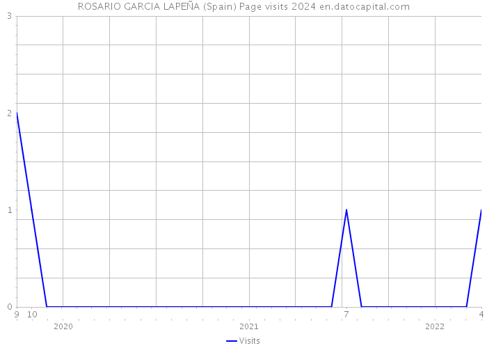 ROSARIO GARCIA LAPEÑA (Spain) Page visits 2024 