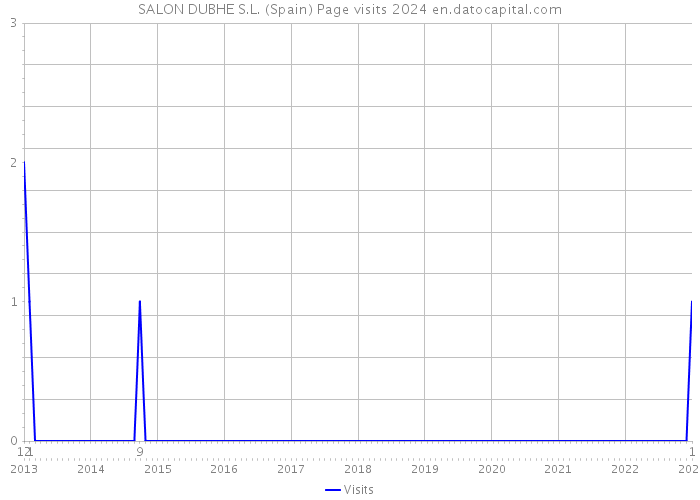 SALON DUBHE S.L. (Spain) Page visits 2024 