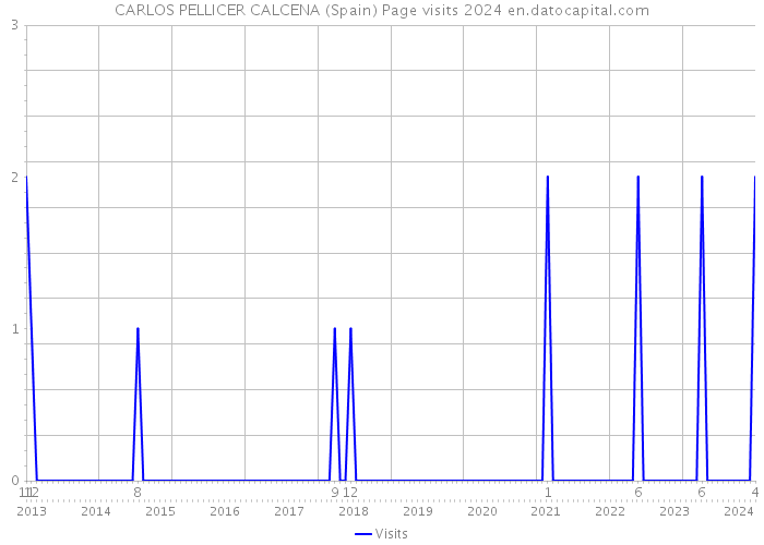 CARLOS PELLICER CALCENA (Spain) Page visits 2024 
