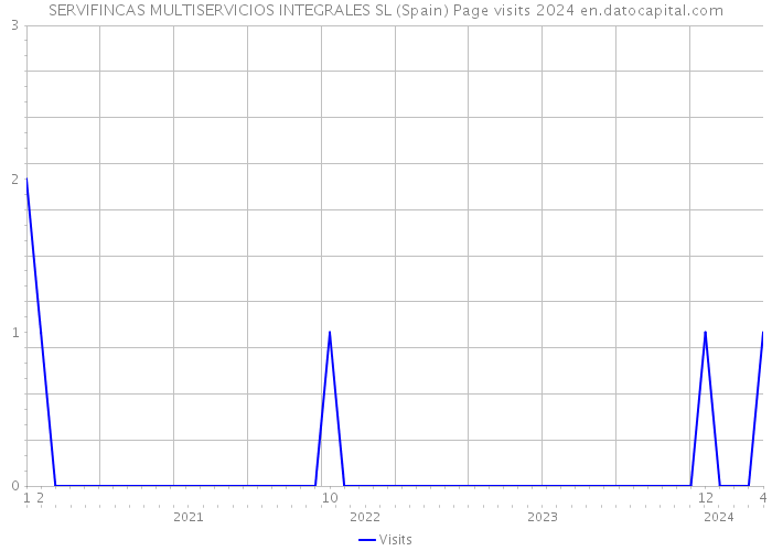 SERVIFINCAS MULTISERVICIOS INTEGRALES SL (Spain) Page visits 2024 