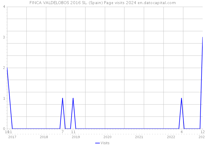 FINCA VALDELOBOS 2016 SL. (Spain) Page visits 2024 