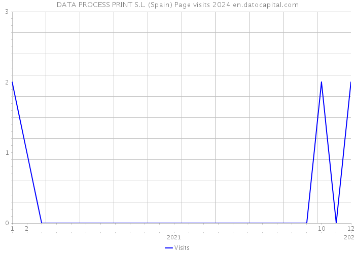DATA PROCESS PRINT S.L. (Spain) Page visits 2024 