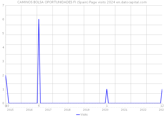 CAMINOS BOLSA OPORTUNIDADES FI (Spain) Page visits 2024 