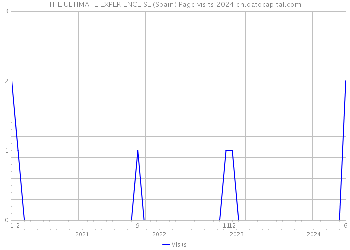 THE ULTIMATE EXPERIENCE SL (Spain) Page visits 2024 