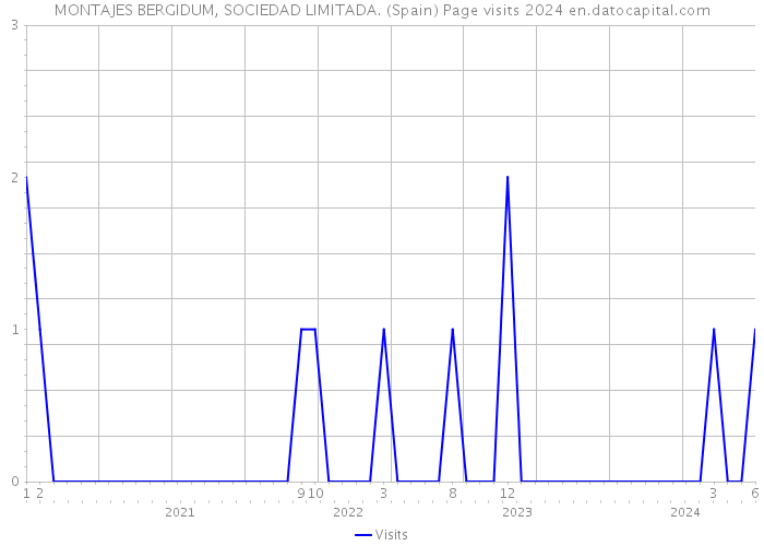 MONTAJES BERGIDUM, SOCIEDAD LIMITADA. (Spain) Page visits 2024 