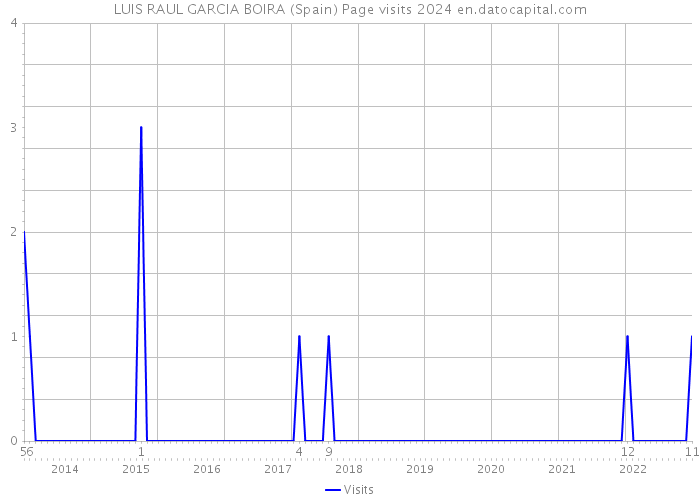 LUIS RAUL GARCIA BOIRA (Spain) Page visits 2024 