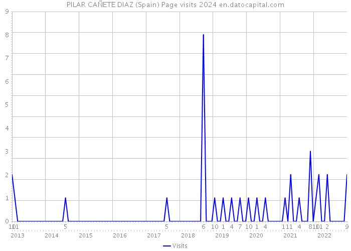 PILAR CAÑETE DIAZ (Spain) Page visits 2024 
