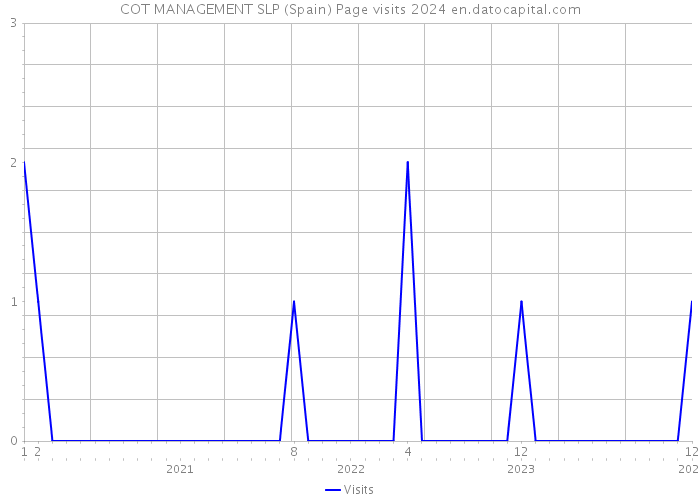 COT MANAGEMENT SLP (Spain) Page visits 2024 