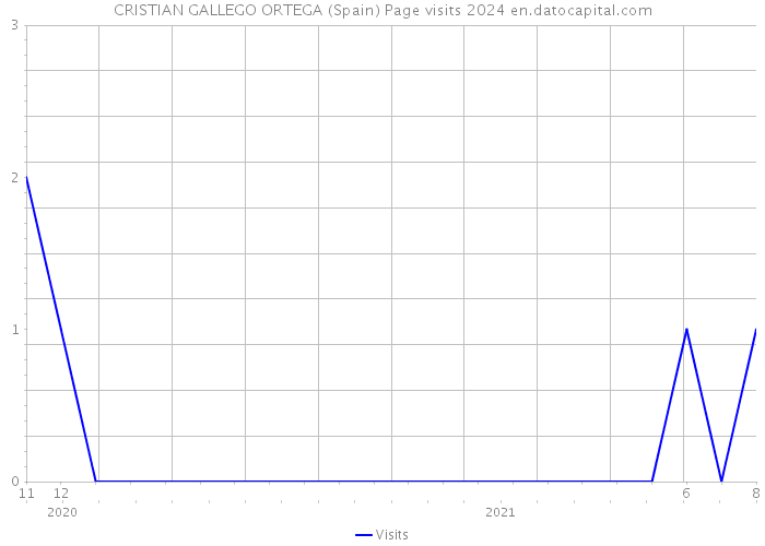 CRISTIAN GALLEGO ORTEGA (Spain) Page visits 2024 