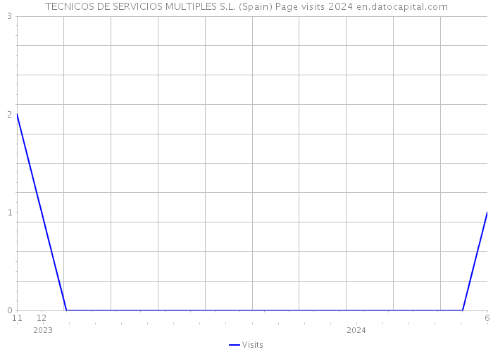 TECNICOS DE SERVICIOS MULTIPLES S.L. (Spain) Page visits 2024 
