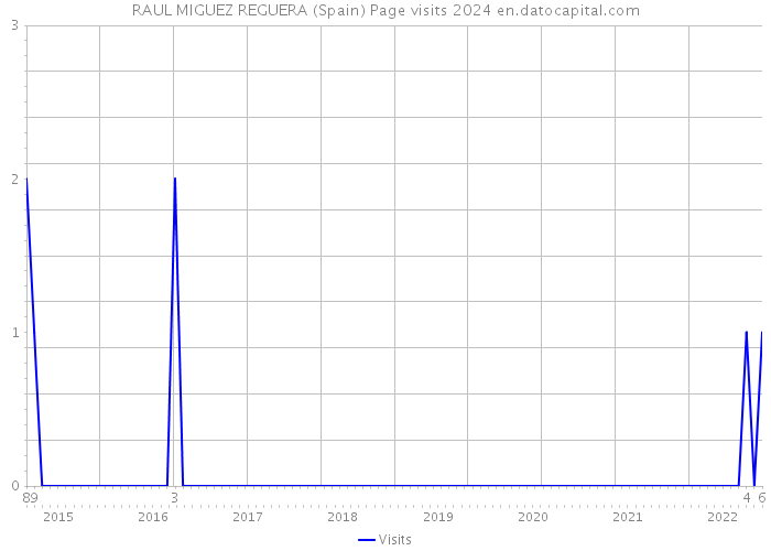 RAUL MIGUEZ REGUERA (Spain) Page visits 2024 