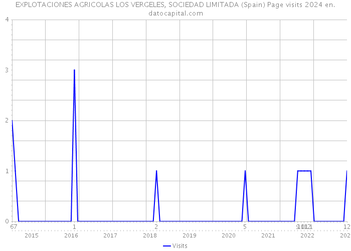EXPLOTACIONES AGRICOLAS LOS VERGELES, SOCIEDAD LIMITADA (Spain) Page visits 2024 