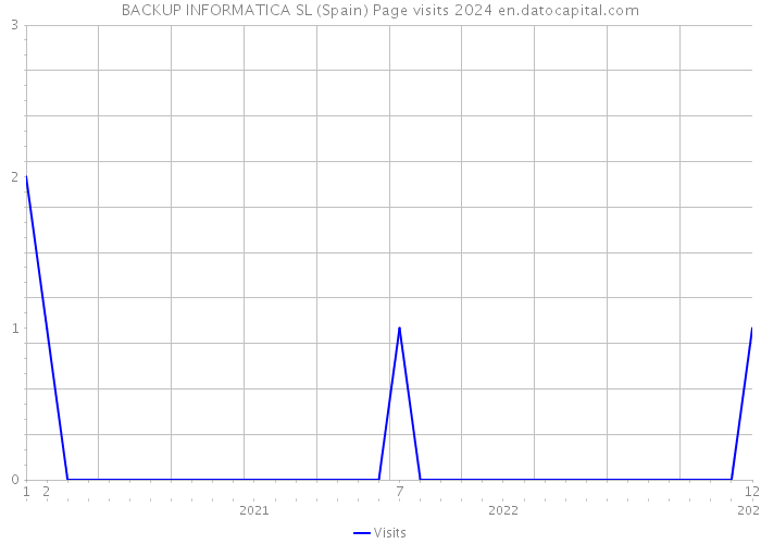 BACKUP INFORMATICA SL (Spain) Page visits 2024 