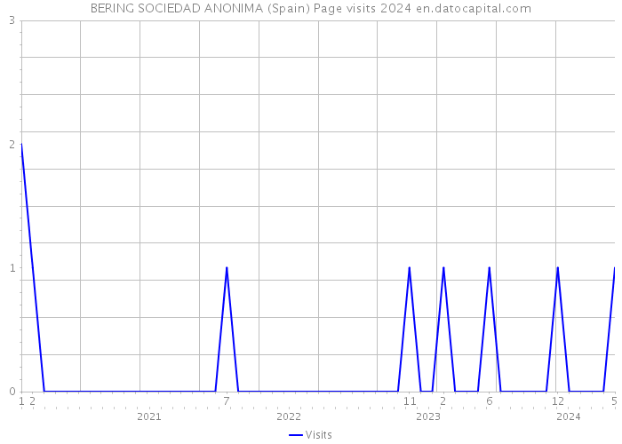 BERING SOCIEDAD ANONIMA (Spain) Page visits 2024 