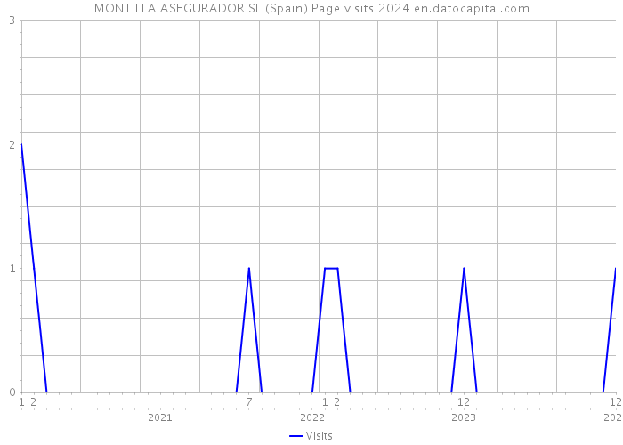 MONTILLA ASEGURADOR SL (Spain) Page visits 2024 