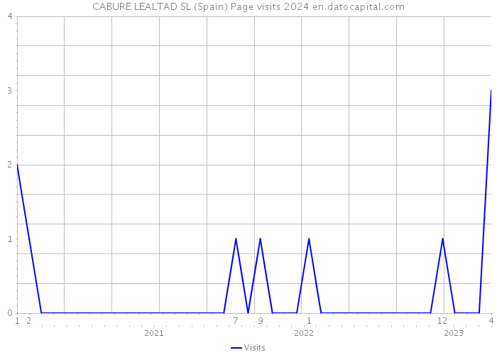 CABURE LEALTAD SL (Spain) Page visits 2024 