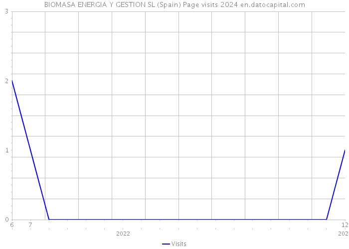 BIOMASA ENERGIA Y GESTION SL (Spain) Page visits 2024 
