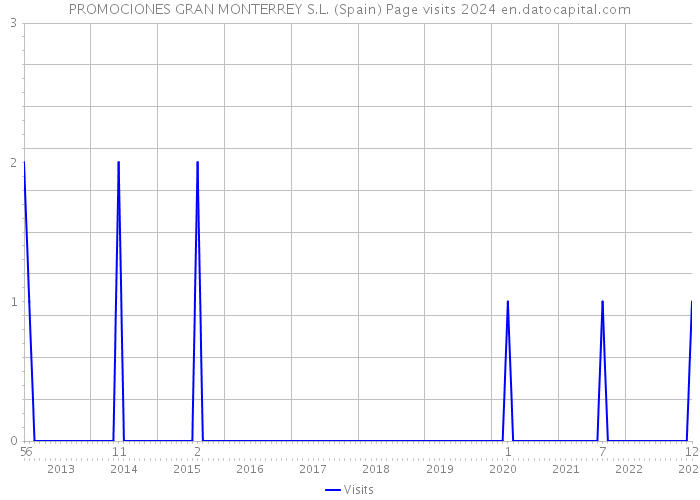 PROMOCIONES GRAN MONTERREY S.L. (Spain) Page visits 2024 