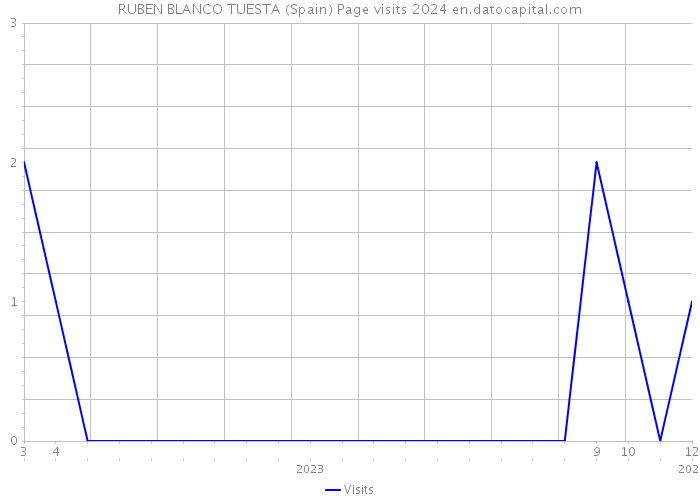 RUBEN BLANCO TUESTA (Spain) Page visits 2024 