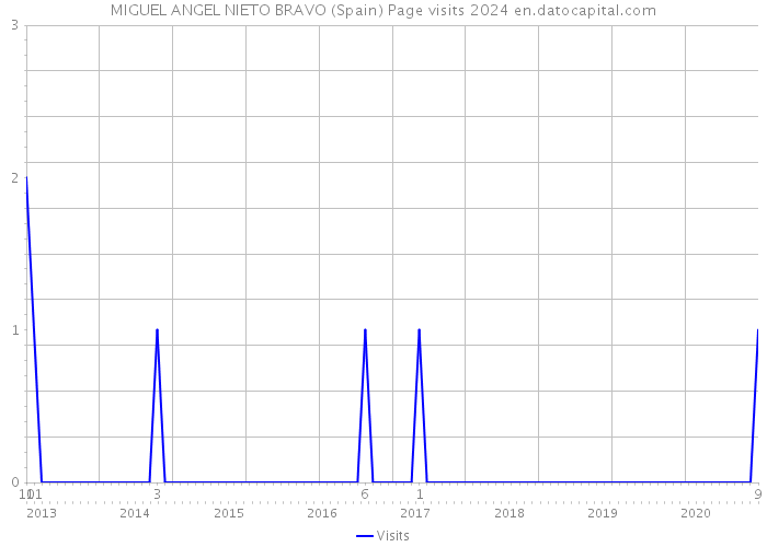 MIGUEL ANGEL NIETO BRAVO (Spain) Page visits 2024 