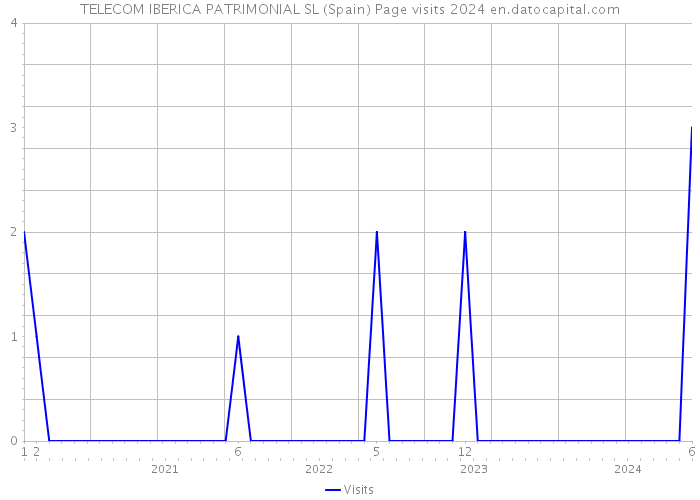 TELECOM IBERICA PATRIMONIAL SL (Spain) Page visits 2024 