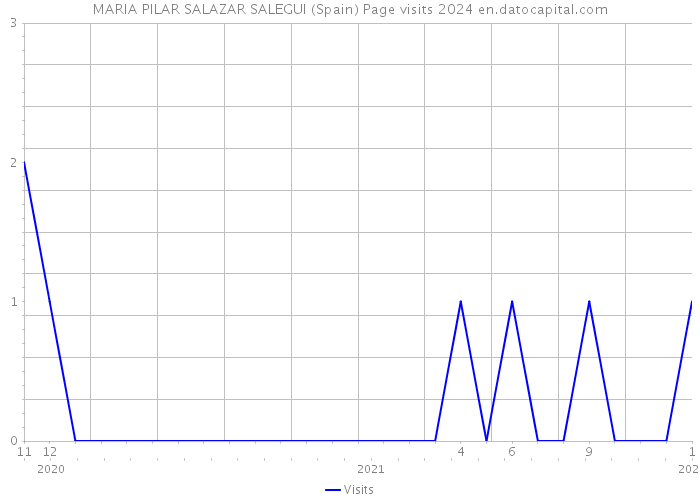 MARIA PILAR SALAZAR SALEGUI (Spain) Page visits 2024 