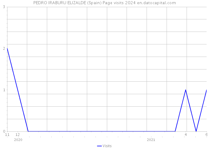 PEDRO IRABURU ELIZALDE (Spain) Page visits 2024 