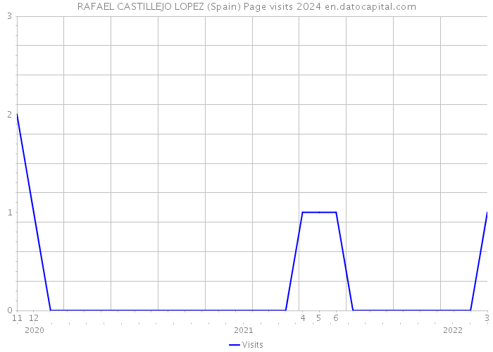 RAFAEL CASTILLEJO LOPEZ (Spain) Page visits 2024 