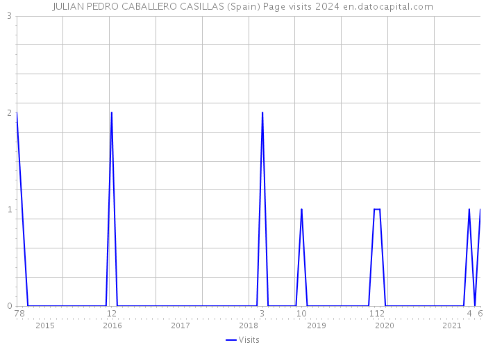 JULIAN PEDRO CABALLERO CASILLAS (Spain) Page visits 2024 