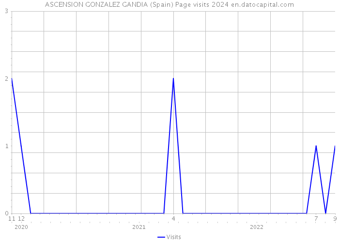 ASCENSION GONZALEZ GANDIA (Spain) Page visits 2024 