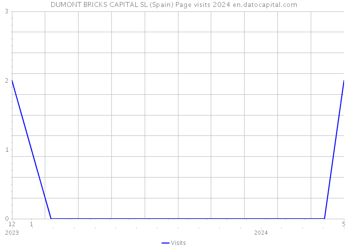 DUMONT BRICKS CAPITAL SL (Spain) Page visits 2024 