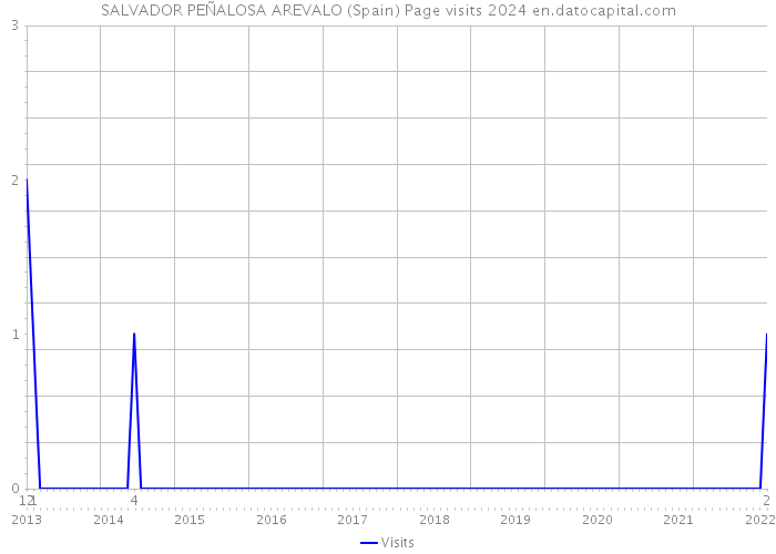 SALVADOR PEÑALOSA AREVALO (Spain) Page visits 2024 