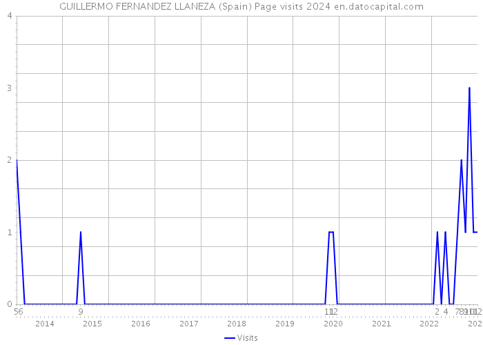 GUILLERMO FERNANDEZ LLANEZA (Spain) Page visits 2024 