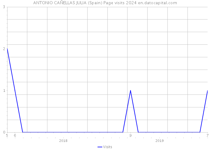ANTONIO CAÑELLAS JULIA (Spain) Page visits 2024 