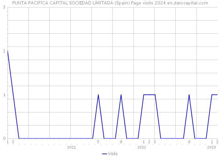 PUNTA PACIFICA CAPITAL SOCIEDAD LIMITADA (Spain) Page visits 2024 