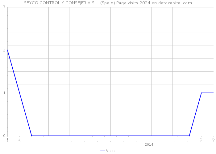 SEYCO CONTROL Y CONSEJERIA S.L. (Spain) Page visits 2024 