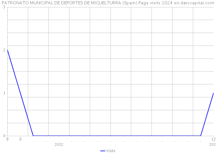 PATRONATO MUNICIPAL DE DEPORTES DE MIGUELTURRA (Spain) Page visits 2024 