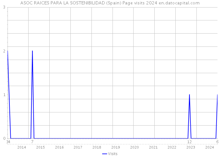 ASOC RAICES PARA LA SOSTENIBILIDAD (Spain) Page visits 2024 