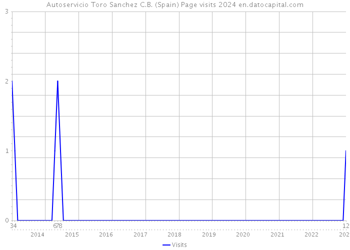 Autoservicio Toro Sanchez C.B. (Spain) Page visits 2024 