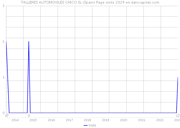 TALLERES AUTOMOVILES CHICO SL (Spain) Page visits 2024 